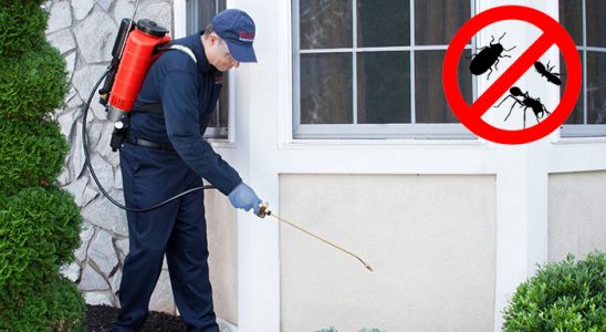 Marmaris Akrep İlaçlama böcek ilaçlama ve haşere kontrolü — ilaclama-tr.com